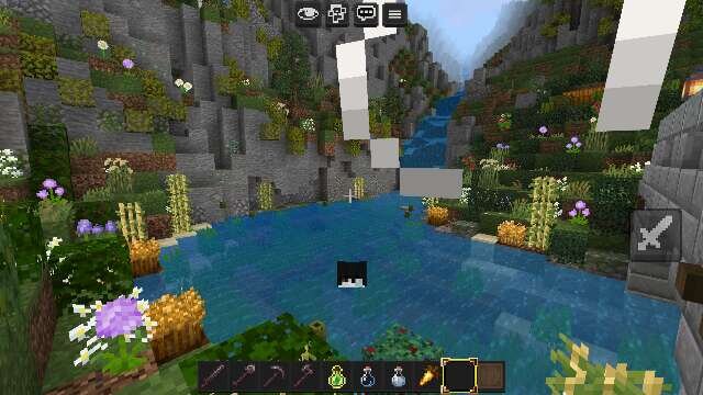 Красивое озеро в лесу