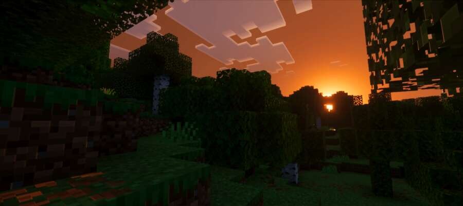 Глубокий вечер в лесу