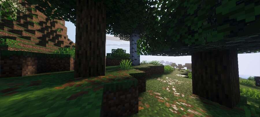 Тени в лесу