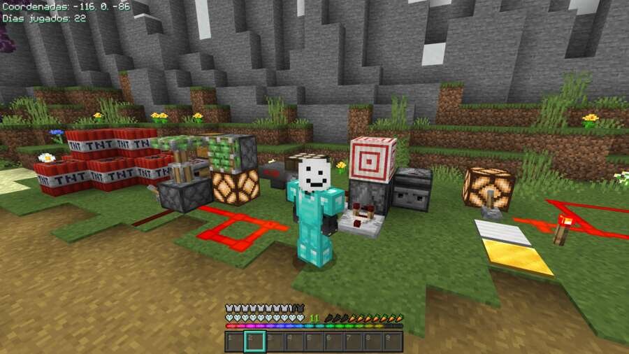 Персонаж в Алмазной броне и с необычным скином