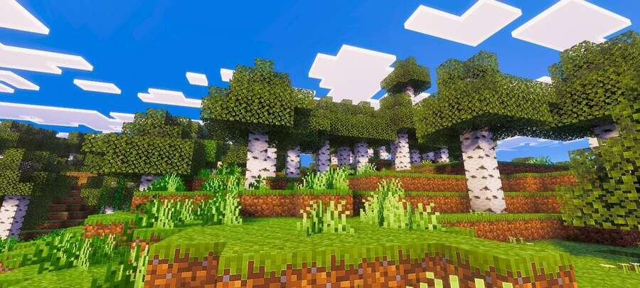 Березовый лес