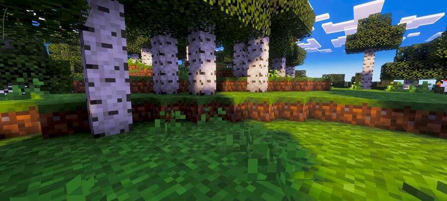 Березовый лес