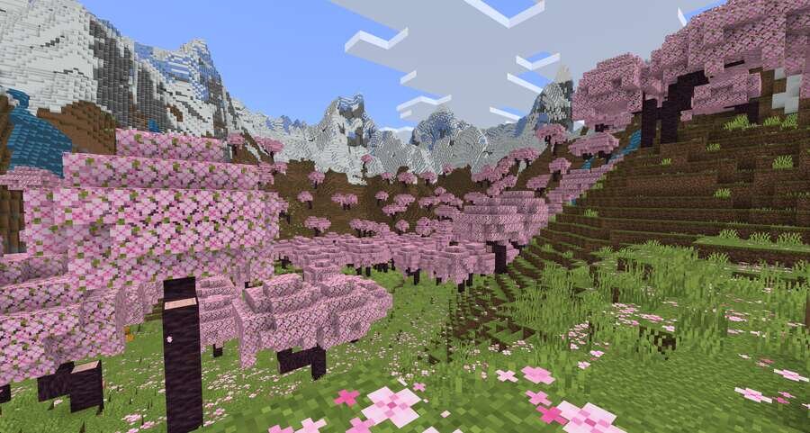 Игрок стоит рядом с высокими деревьями Сакуры и смотрит на снежную гору