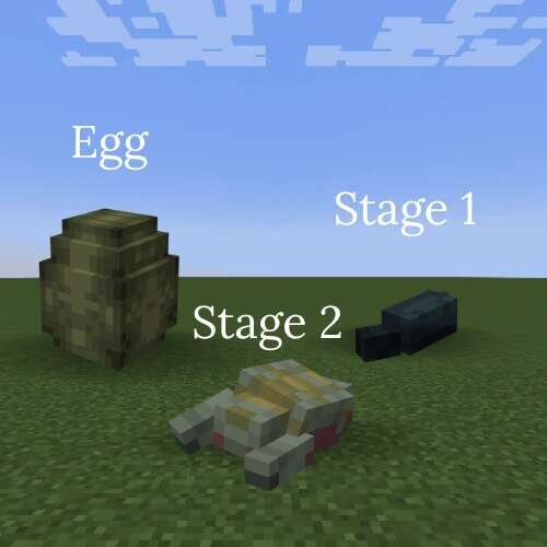 Яйцо и стадии развития монстра