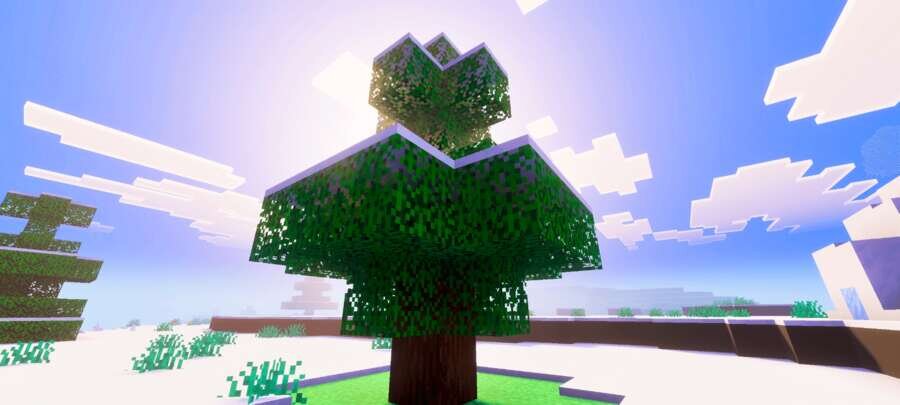 Дерево, покрытое снегом