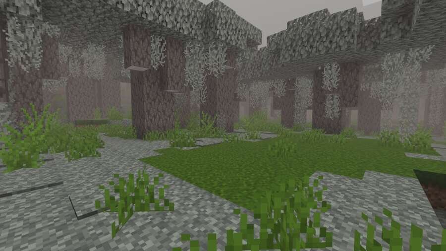 Лес Бледного сада