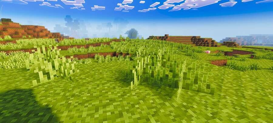 Равнина с травой