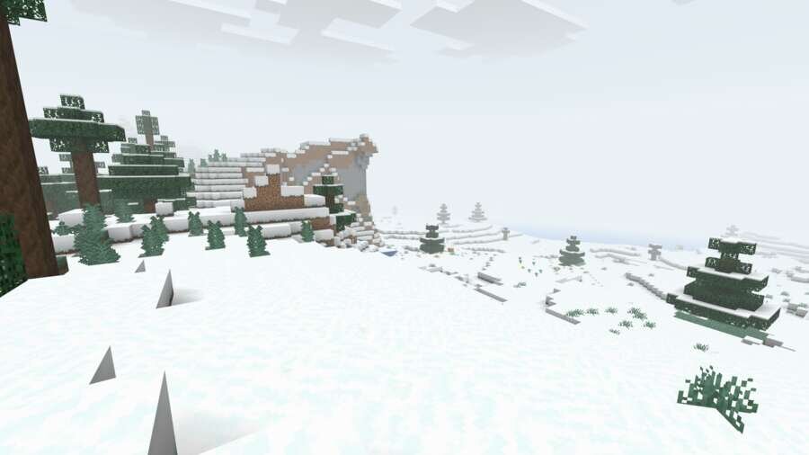 Снежный биом