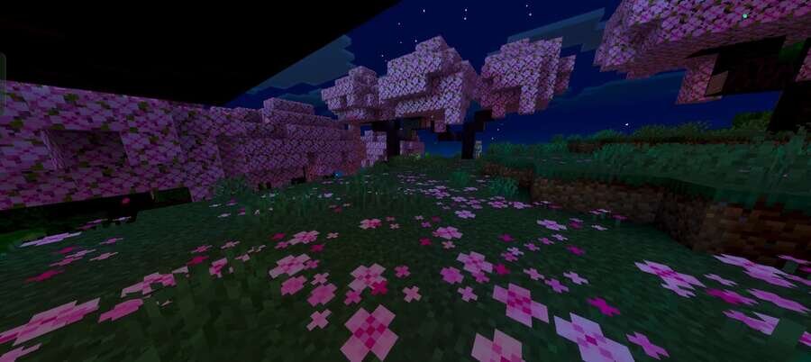 Опавшая листва в Вишневом лесу