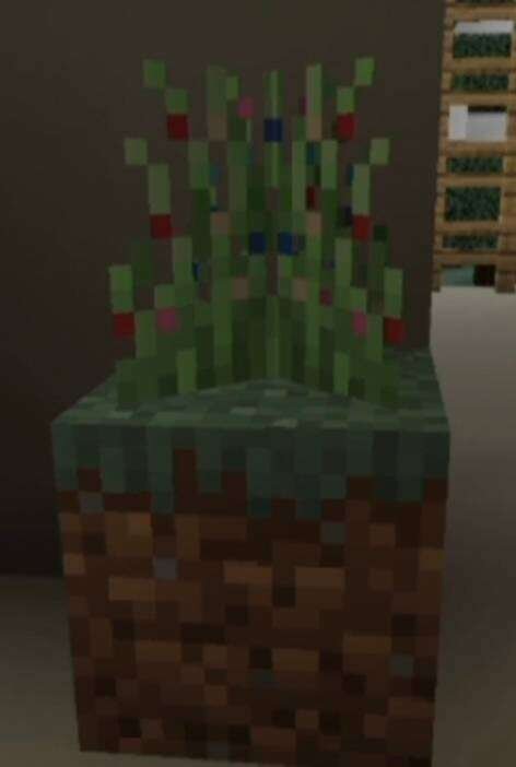 Растение для получения мяты