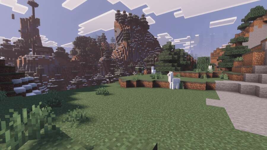 Лама на равнине