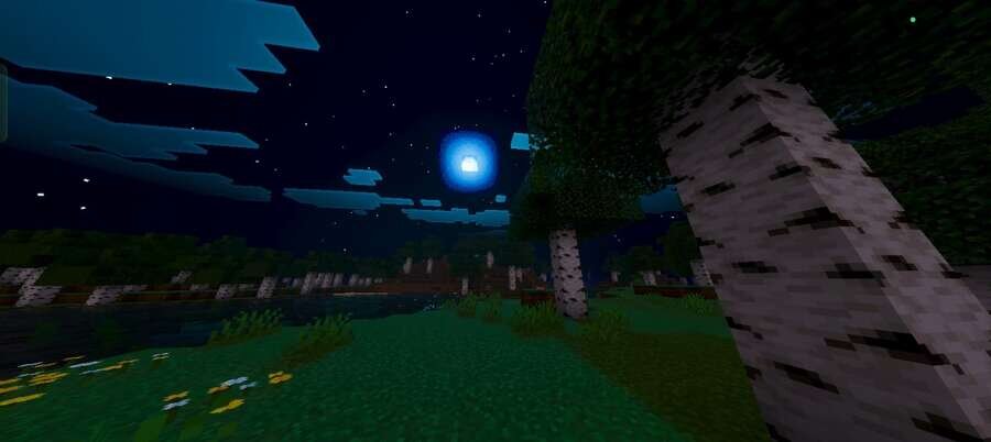 Березы в ночном лесу