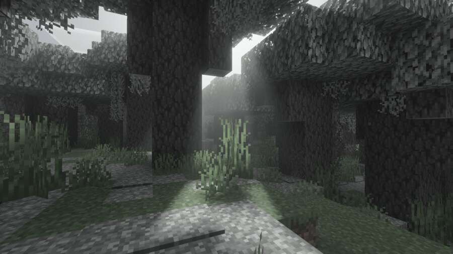 Освещение в бледном лесу