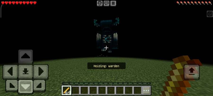 Варден парит над землей