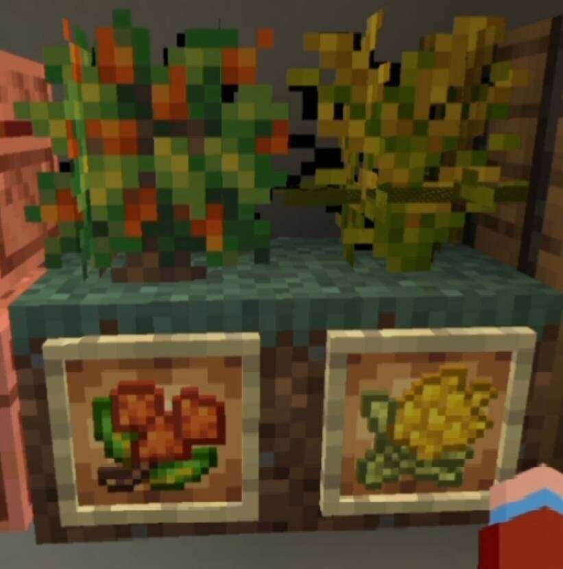 Кухонные растения