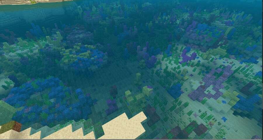 Вид на коралловые рифы прямо с берега