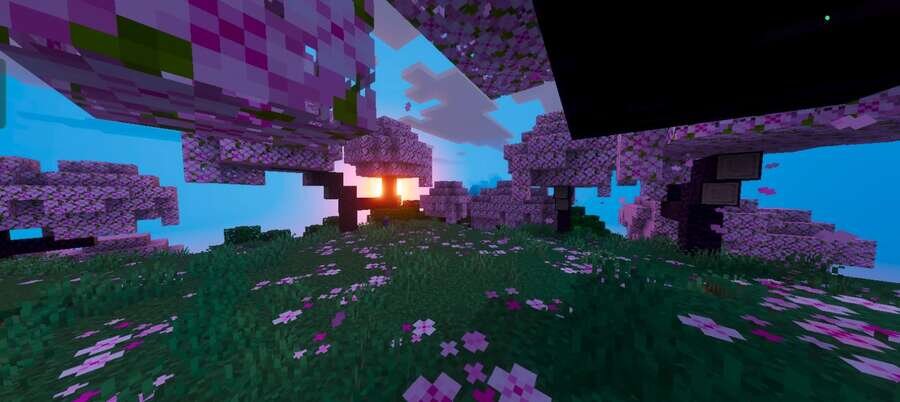 Свет сквозь деревья