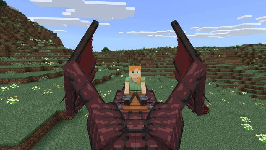 Игрок верхом на Драконе