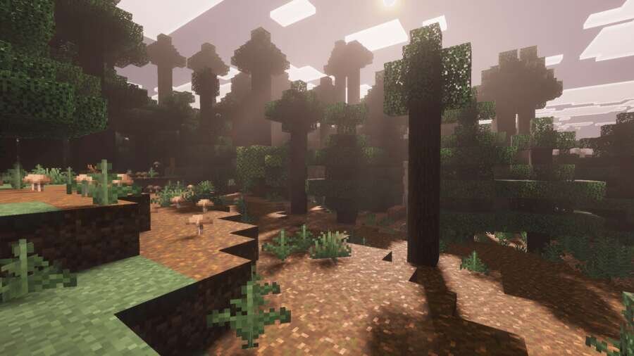 Полдень в тайге