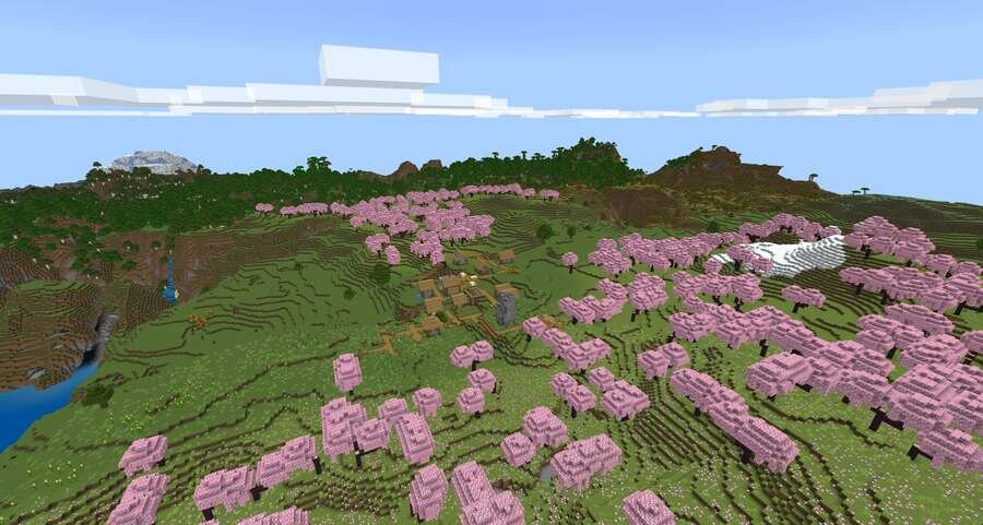 Вид на деревушку сверху и биом сакуры сверху