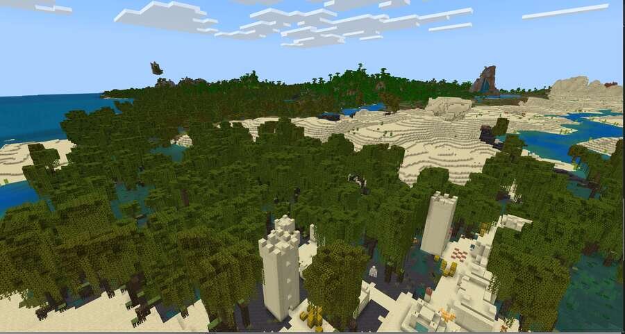 Вид на мангровые болота и пустыню сверху