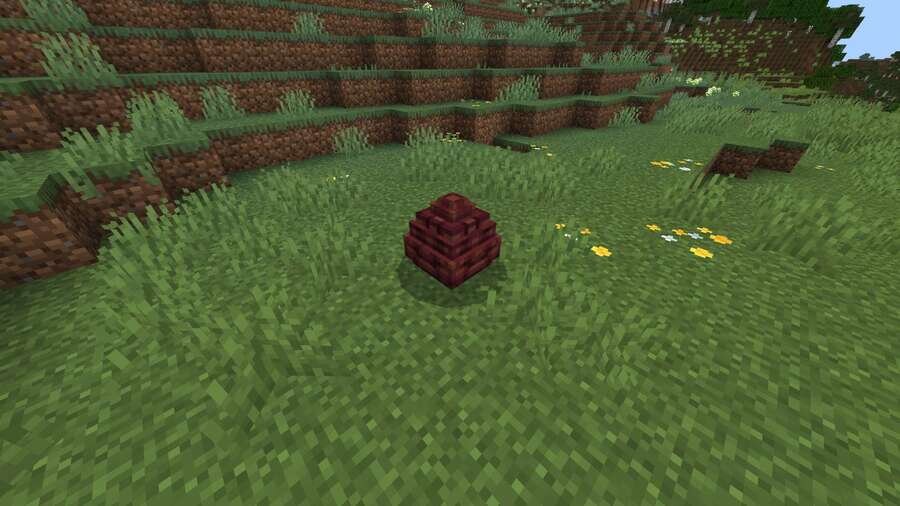 Яйцо дракона на земле