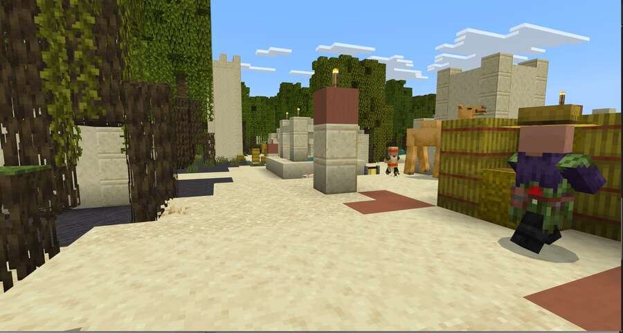 Жители и Верблюды стоят посреди деревни