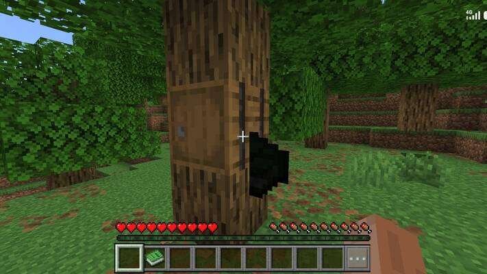 Бочка на дереве