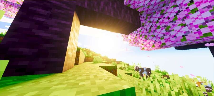 Яркий свет Солнца под деревом