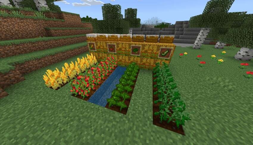 Огород в игре