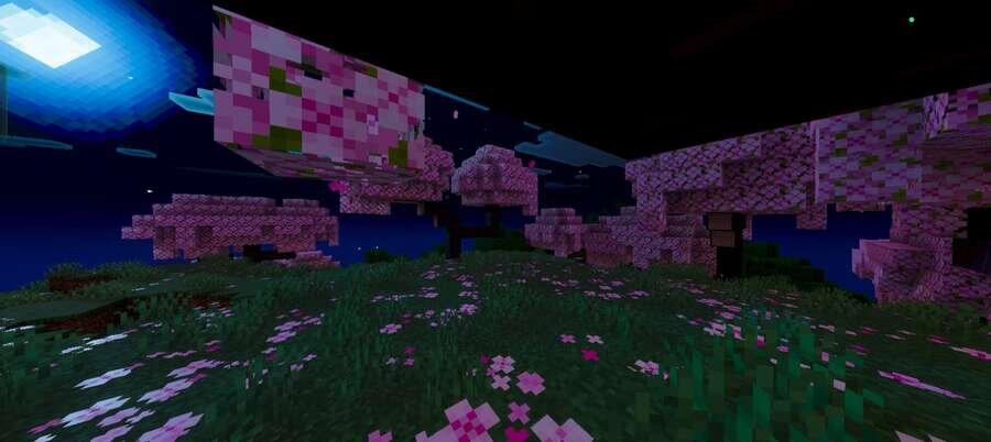 Ночь в Вишневом лесу