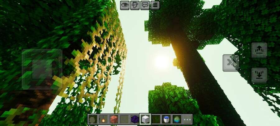 Свет Солнца сквозь деревья