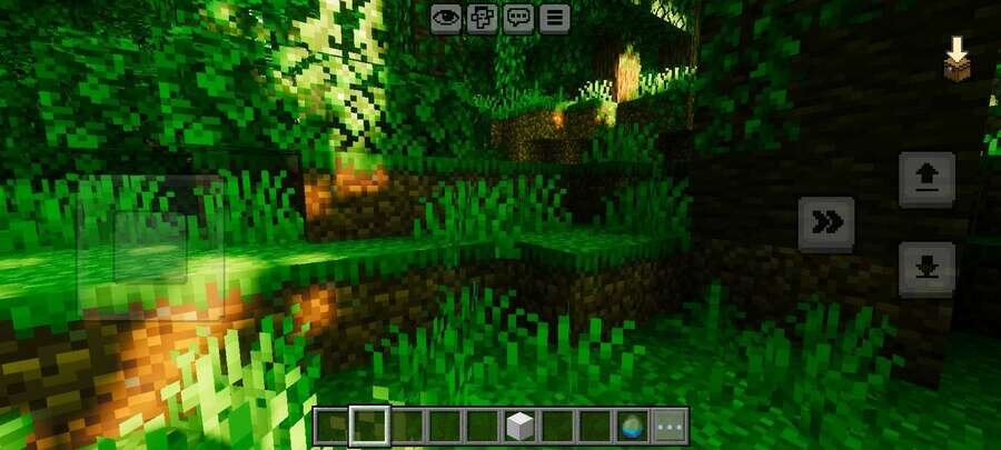 Тени в лесу