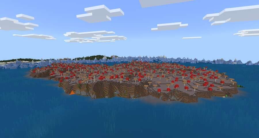 Вид на грибной остров сверху на фоне окана