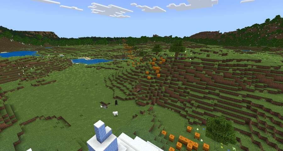 Начало дорожки из тыкв в игре