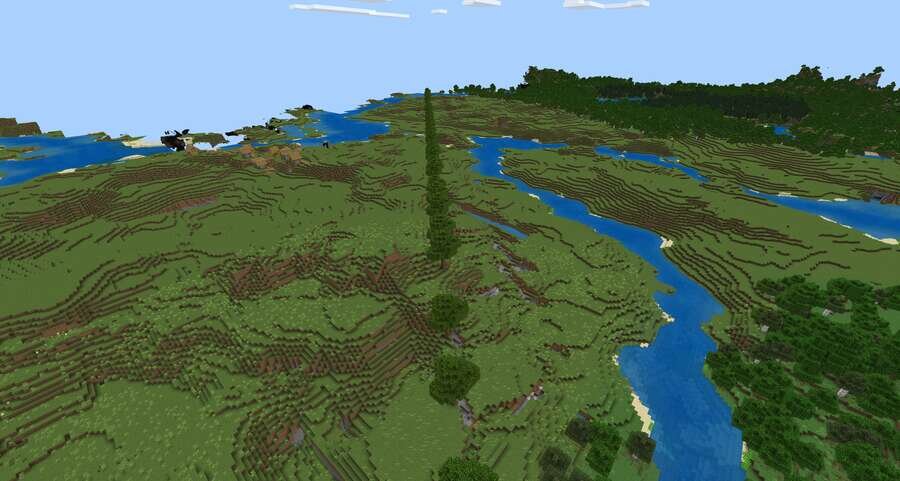 Как выглядит дорожка из деревьев