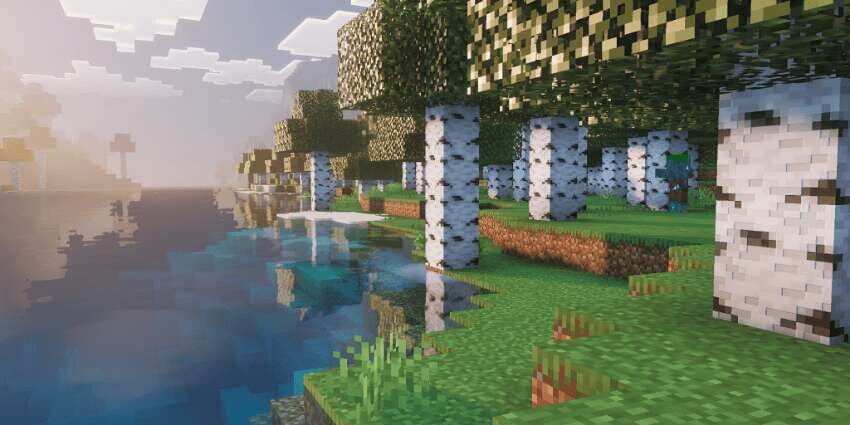 Березовый лес