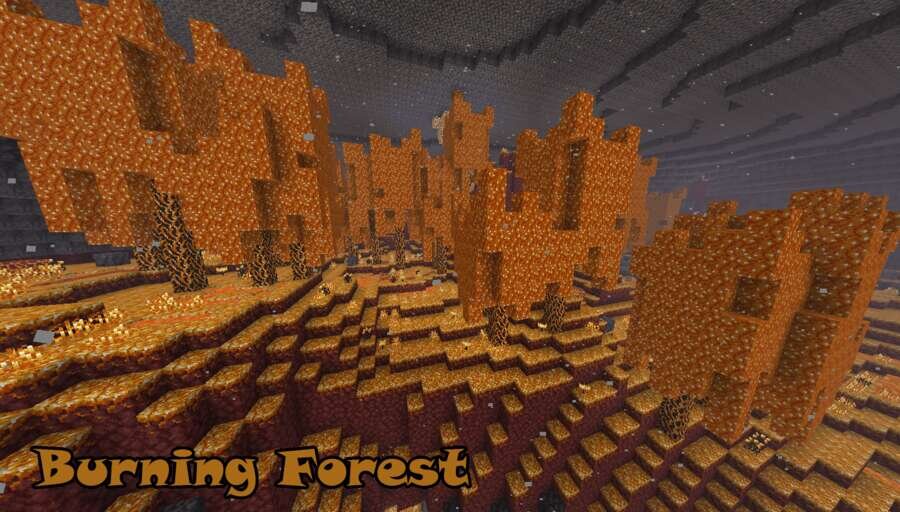 Горящий лес