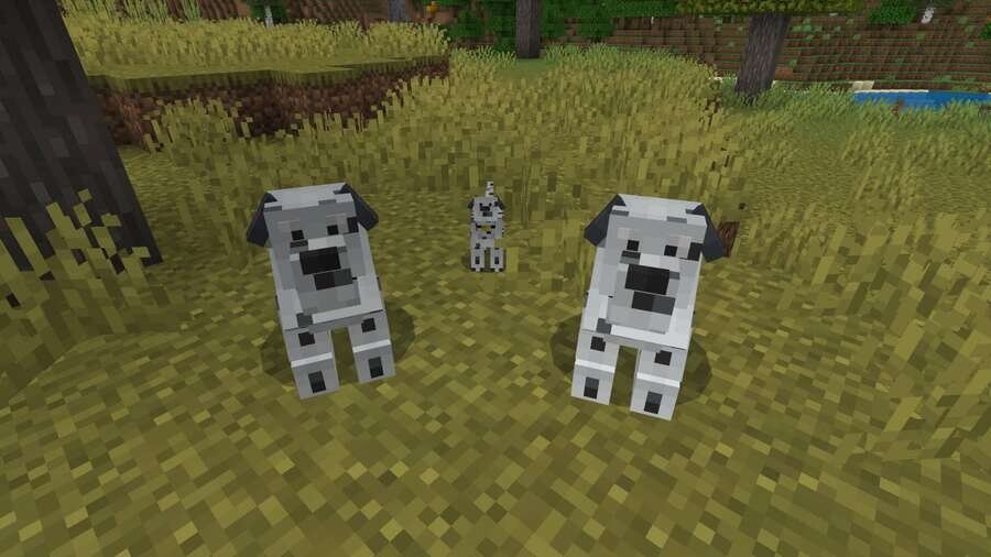 Далматинцы в игре