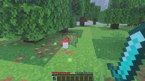 Получение Кожи из Овцы