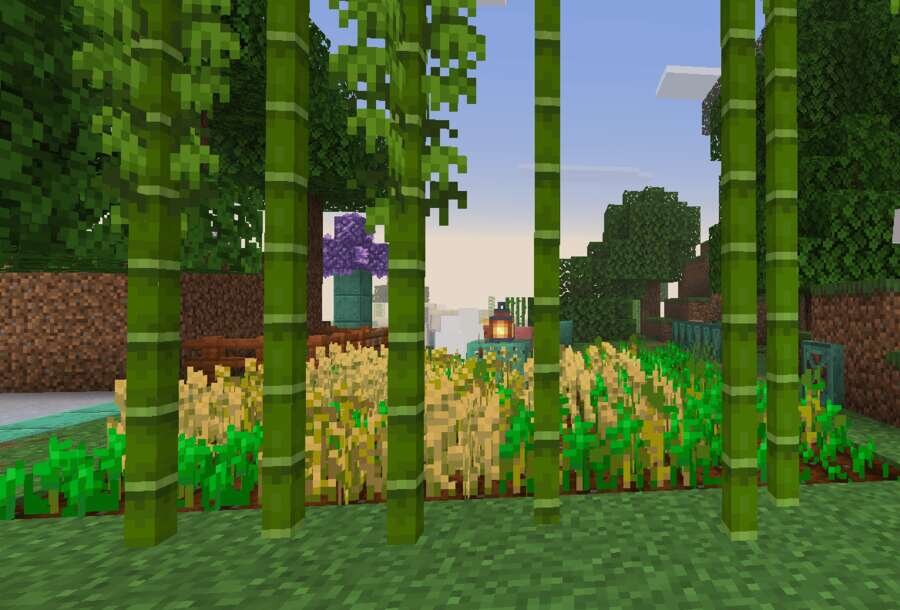 Стена из Тростника