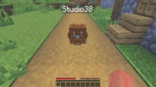 Рюкзак на земле