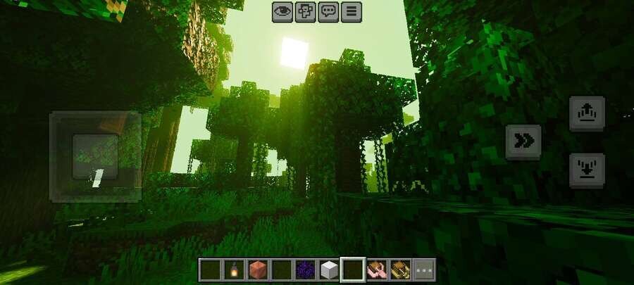 Биом джунглей