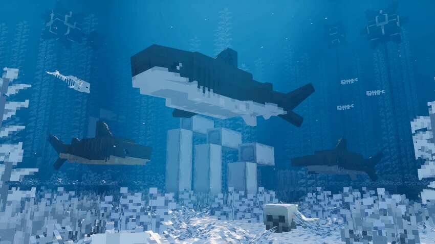 Киты и другие морские животные