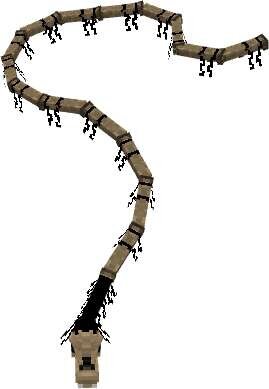 Длинная лошадь