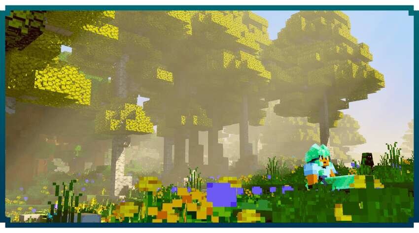 Красивый лесной биом