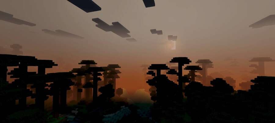 Сумерки над лесом