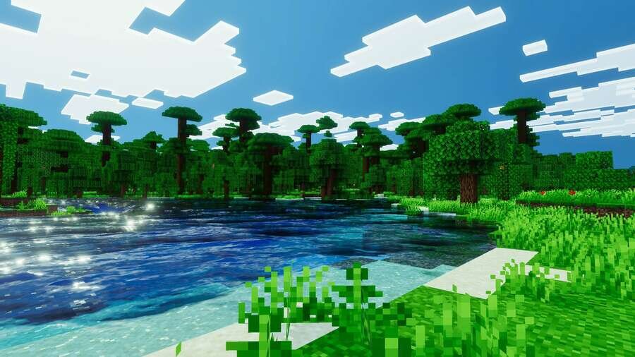 Красивый вид на лес