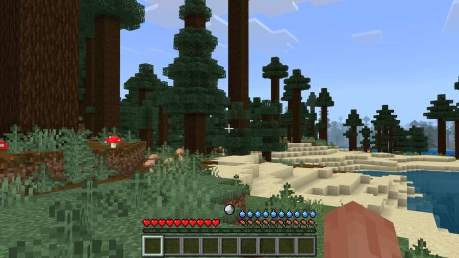 Игрок рядом с тайгой