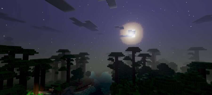 Ночь над лесом